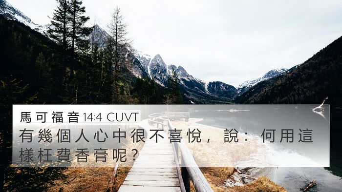 馬 可 福 音 14:4 CUVT Bible Verse Image