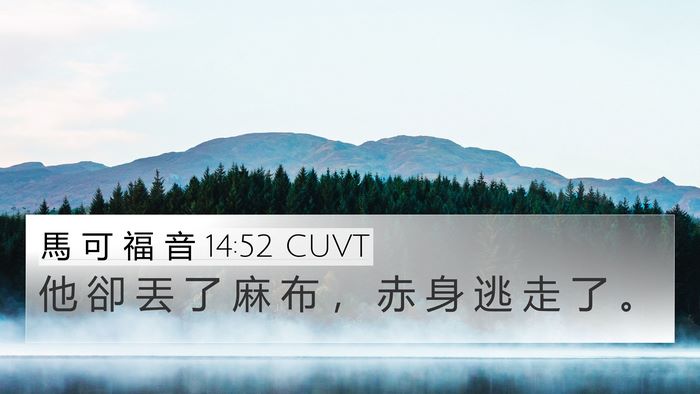馬 可 福 音 14:52 CUVT 4K Wallpaper - 他 卻 丟 了 麻 布 ， 赤 身 逃 走 了 - 4K Wallpaper Bible Verse