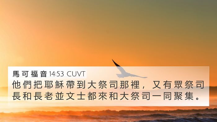 馬 可 福 音 14:53 CUVT Bible Verse Image