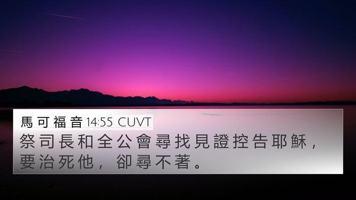 馬 可 福 音 14:55 CUVT Bible Verse Image