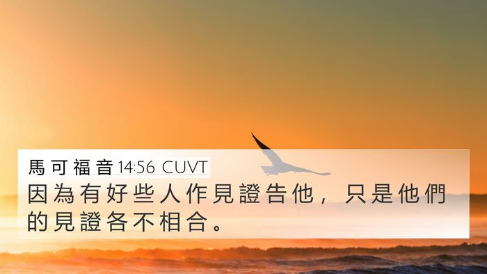 馬 可 福 音 14:56 CUVT Bible Verse Image