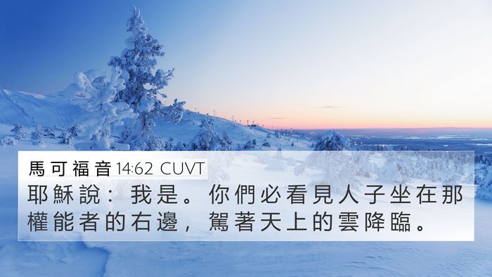 馬 可 福 音 14:62 CUVT Bible Verse Image