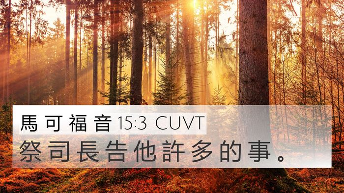馬 可 福 音 15:3 CUVT 4K Wallpaper - 祭 司 長 告 他 許 多 的 事 - 4K Wallpaper Bible Verse