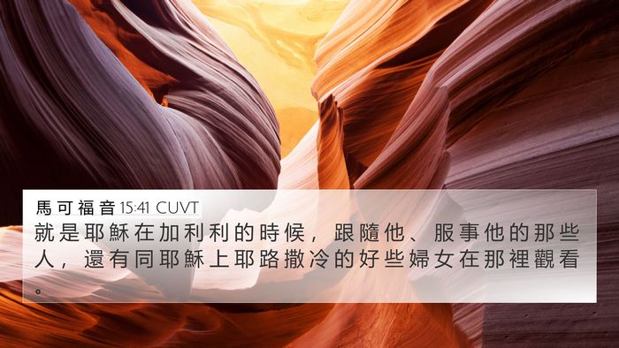 馬 可 福 音 15:41 CUVT Bible Verse Image