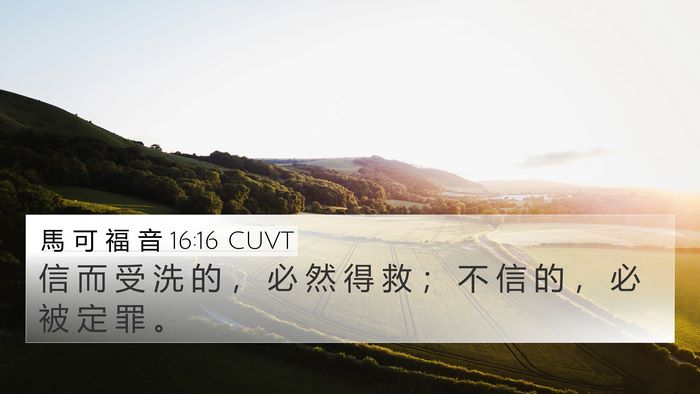 馬 可 福 音 16:16 CUVT Bible Verse Image