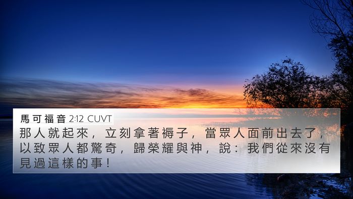 馬 可 福 音 2:12 CUVT Bible Verse Image