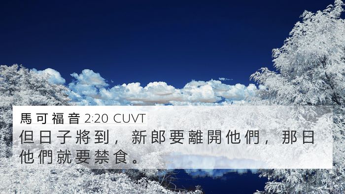 馬 可 福 音 2:20 CUVT Bible Verse Image