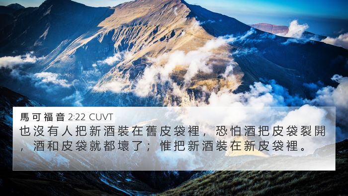 馬 可 福 音 2:22 CUVT Bible Verse Image