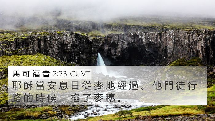 馬 可 福 音 2:23 CUVT Bible Verse Image