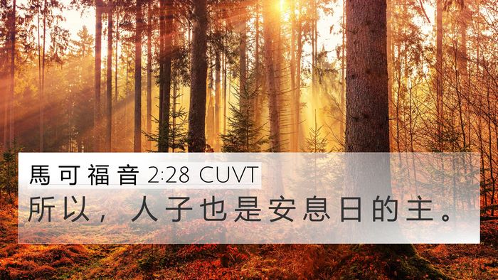 馬 可 福 音 2:28 CUVT 4K Wallpaper - 所 以 ， 人 子 也 是 安 息 日 的 主 - 4K Wallpaper Bible Verse