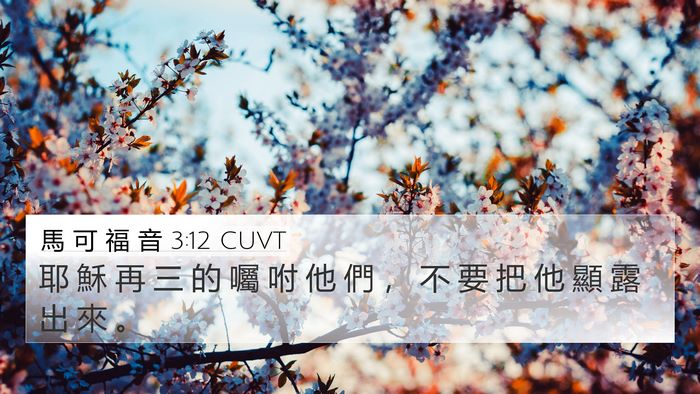馬 可 福 音 3:12 CUVT Bible Verse Image