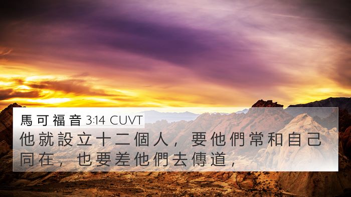 馬 可 福 音 3:14 CUVT 4K Wallpaper - 他 就 設 立 十 二 個 人 ， 要 他 們 - 4K Wallpaper Bible Verse