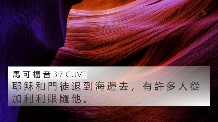 馬 可 福 音 3:7 CUVT 4K Wallpaper - 耶 穌 和 門 徒 退 到 海 邊 去 ， 有 - 4K Wallpaper Bible Verse