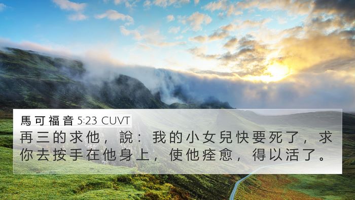 馬 可 福 音 5:23 CUVT Bible Verse Image