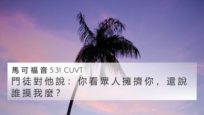 馬 可 福 音 5:31 CUVT Bible Verse Image