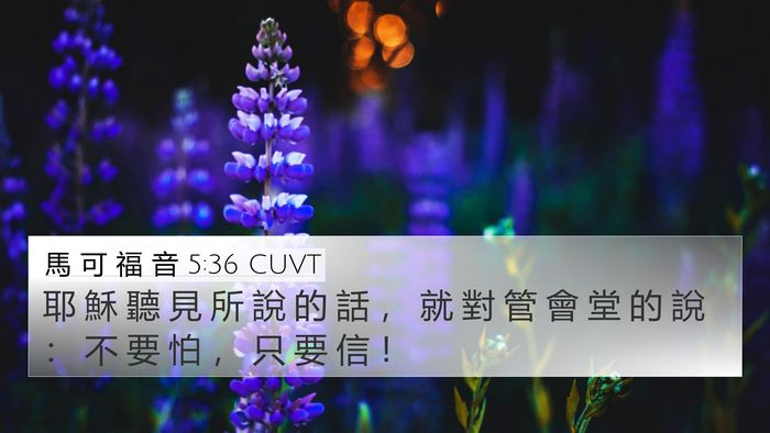馬 可 福 音 5:36 CUVT Bible Verse Image