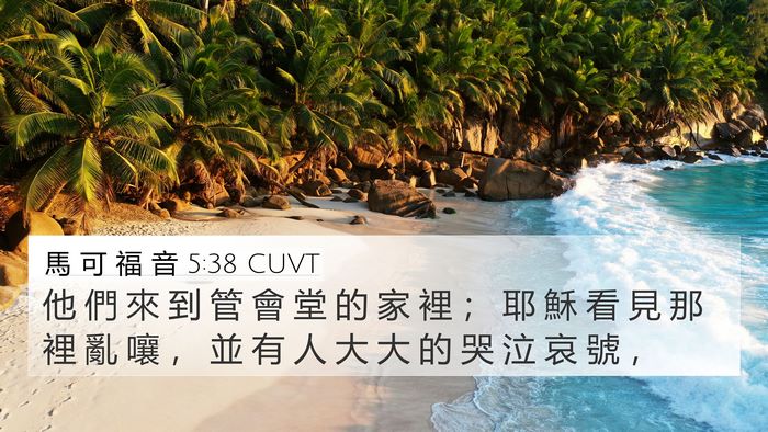 馬 可 福 音 5:38 CUVT Bible Verse Image