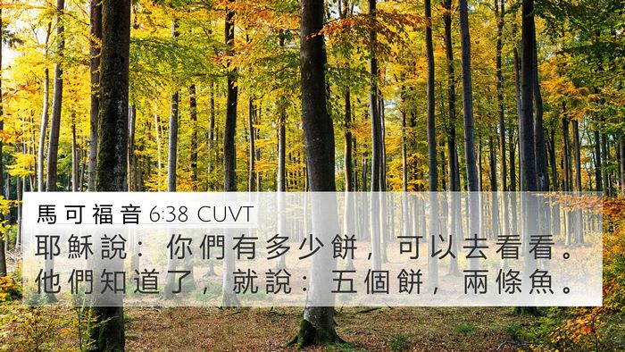 馬 可 福 音 6:38 CUVT Bible Verse Image