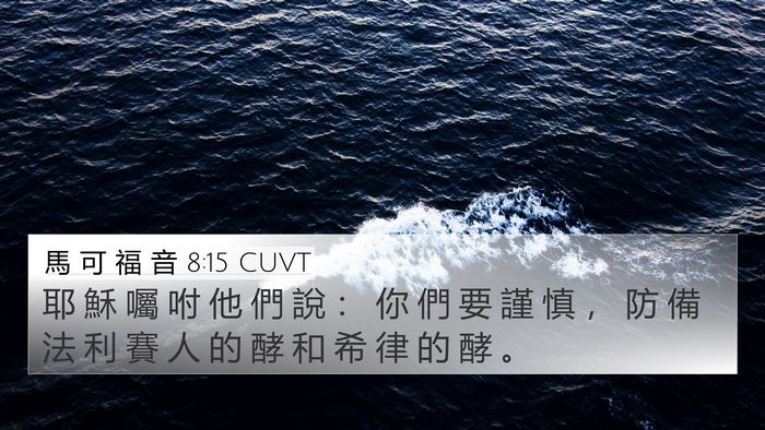 馬 可 福 音 8:15 CUVT Bible Verse Image