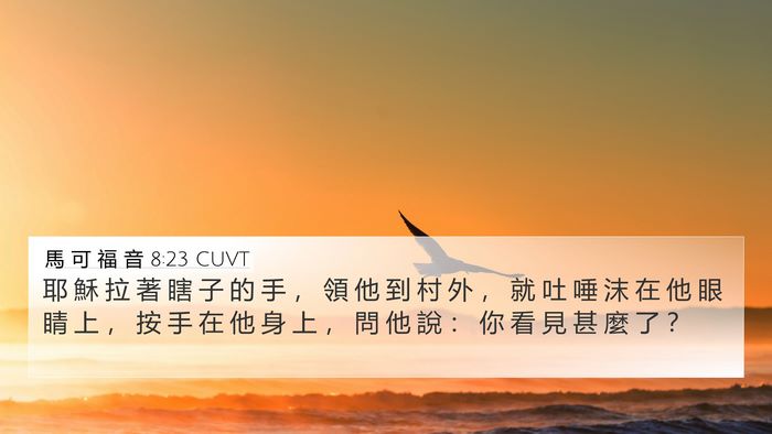 馬 可 福 音 8:23 CUVT Bible Verse Image