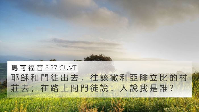 馬 可 福 音 8:27 CUVT Bible Verse Image