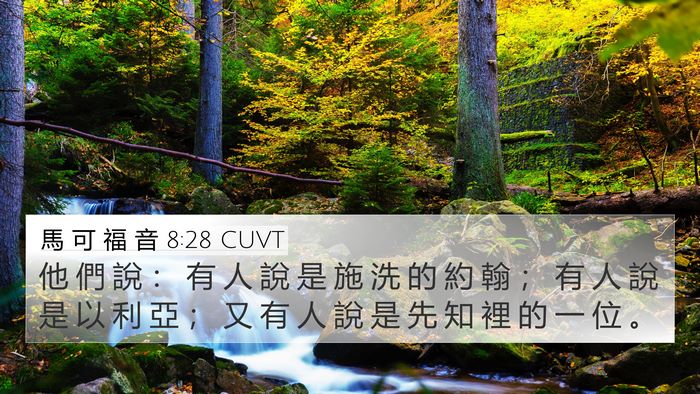 馬 可 福 音 8:28 CUVT Bible Verse Image