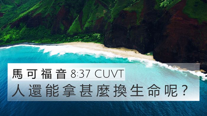 馬 可 福 音 8:37 CUVT 4K Wallpaper - 人 還 能 拿 甚 麼 換 生 命 呢 - 4K Wallpaper Bible Verse