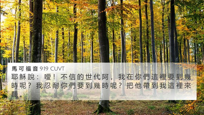 馬 可 福 音 9:19 CUVT Bible Verse Image