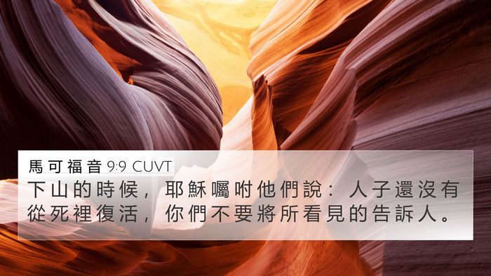 馬 可 福 音 9:9 CUVT Bible Verse Image