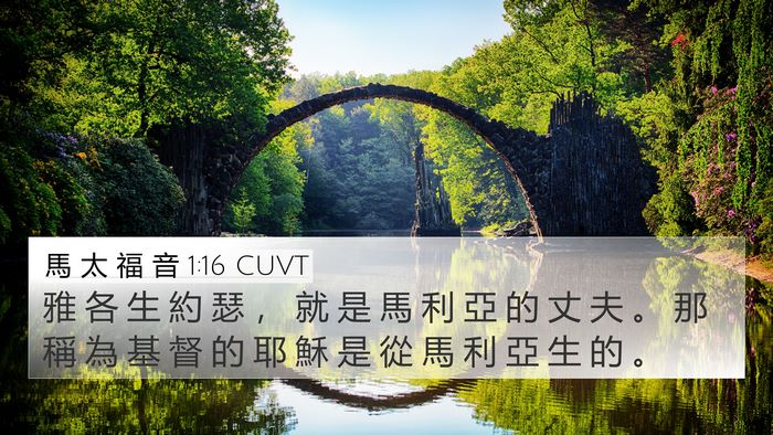 馬 太 福 音 1:16 CUVT Bible Verse Image