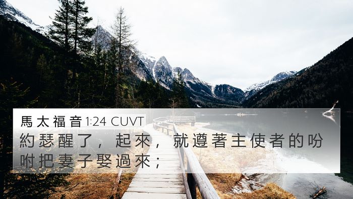 馬 太 福 音 1:24 CUVT Bible Verse Image