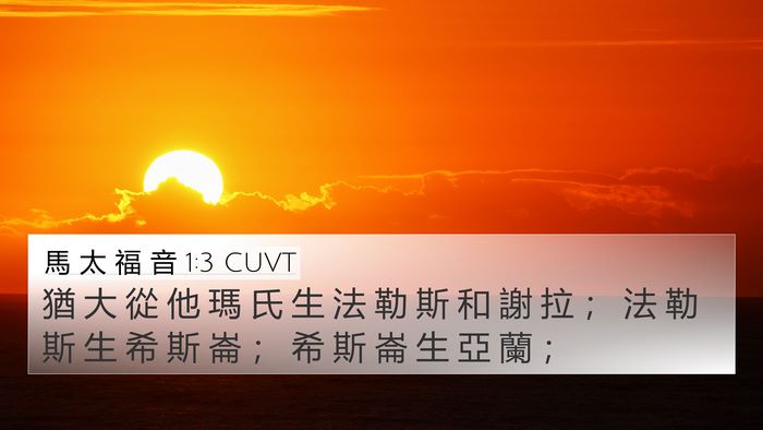 馬 太 福 音 1:3 CUVT Bible Verse Image