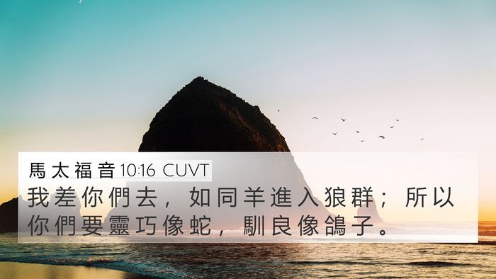 馬 太 福 音 10:16 CUVT Bible Verse Image