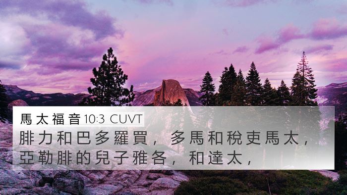 馬 太 福 音 10:3 CUVT Bible Verse Image