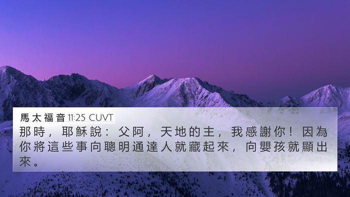 馬 太 福 音 11:25 CUVT Bible Verse Image