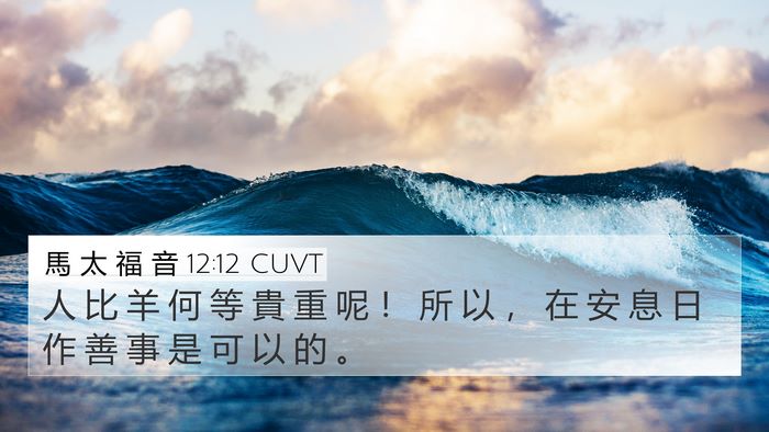馬 太 福 音 12:12 CUVT Bible Verse Image