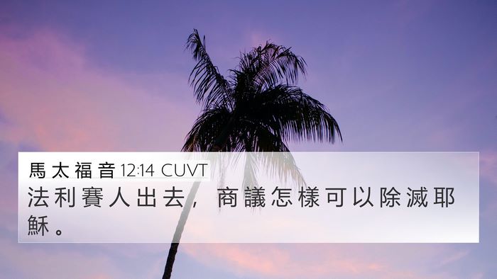 馬 太 福 音 12:14 CUVT Bible Verse Image