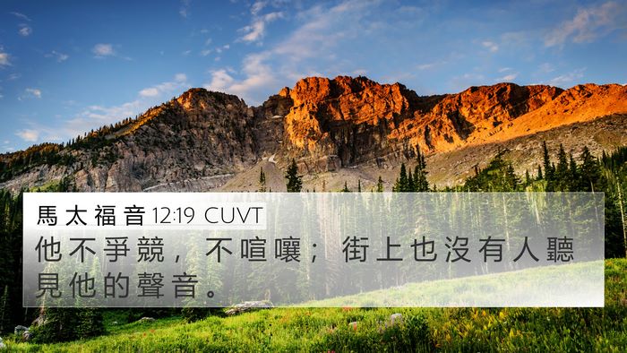 馬 太 福 音 12:19 CUVT Bible Verse Image