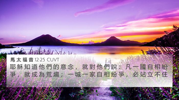 馬 太 福 音 12:25 CUVT Bible Verse Image