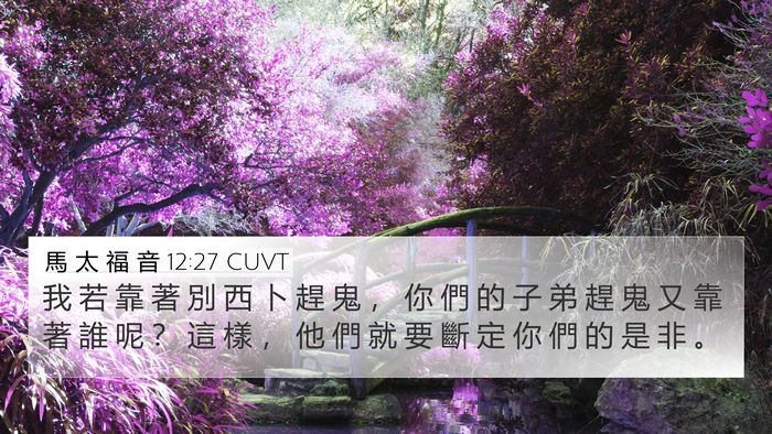 馬 太 福 音 12:27 CUVT Bible Verse Image
