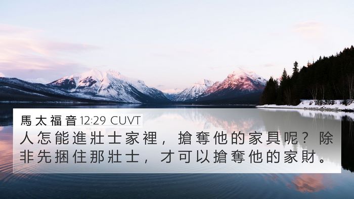 馬 太 福 音 12:29 CUVT 4K Wallpaper - 人 怎 能 進 壯 士 家 裡 ， 搶 奪 他 - 4K Wallpaper Bible Verse