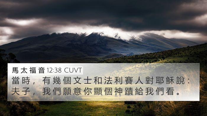 馬 太 福 音 12:38 CUVT Bible Verse Image