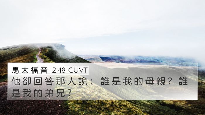 馬 太 福 音 12:48 CUVT Bible Verse Image