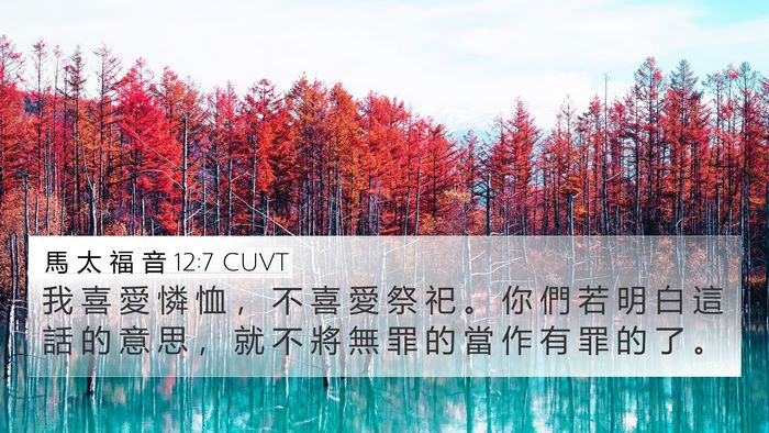 馬 太 福 音 12:7 CUVT 4K Wallpaper - 我 喜 愛 憐 恤 ， 不 喜 愛 祭 祀 。 - 4K Wallpaper Bible Verse