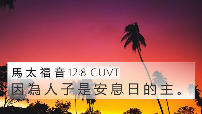 馬 太 福 音 12:8 CUVT Bible Verse Image
