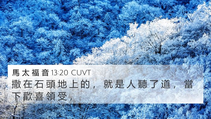 馬 太 福 音 13:20 CUVT Bible Verse Image