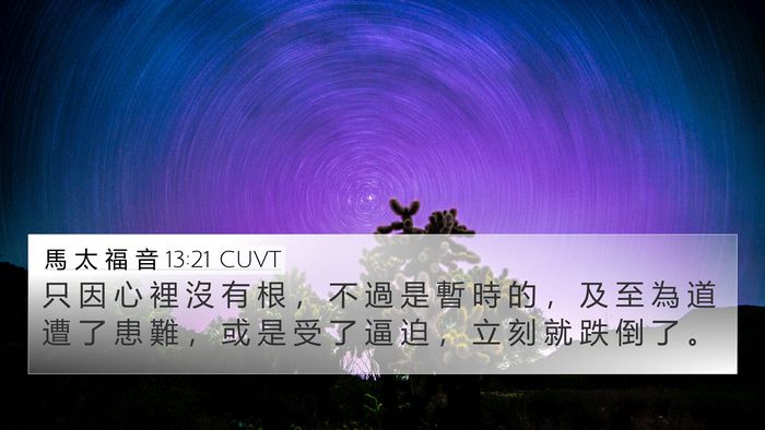 馬 太 福 音 13:21 CUVT Bible Verse Image