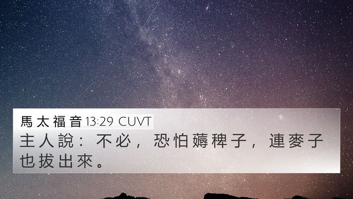 馬 太 福 音 13:29 CUVT 4K Wallpaper - 主 人 說 ： 不 必 ， 恐 怕 薅 稗 子 - 4K Wallpaper Bible Verse