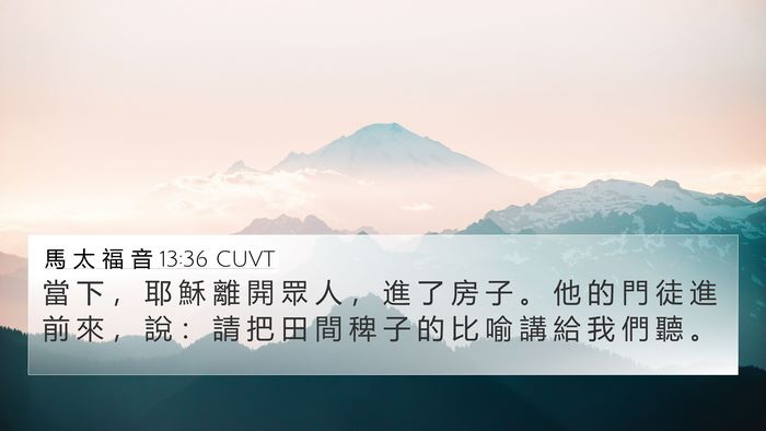 馬 太 福 音 13:36 CUVT Bible Verse Image