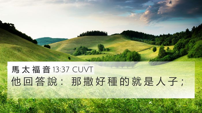 馬 太 福 音 13:37 CUVT Bible Verse Image